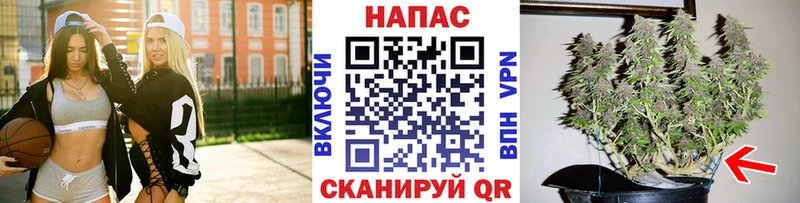 Как найти наркотики Жигулёвск OMG   Галлюциногенные грибы  СК  ГАШИШ  Мефедрон  Конопля  COCAIN 