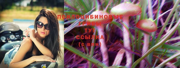 альфа пвп Магас