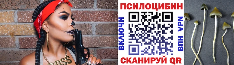 купить наркотик  Жигулёвск  Псилоцибиновые грибы Magic Shrooms 
